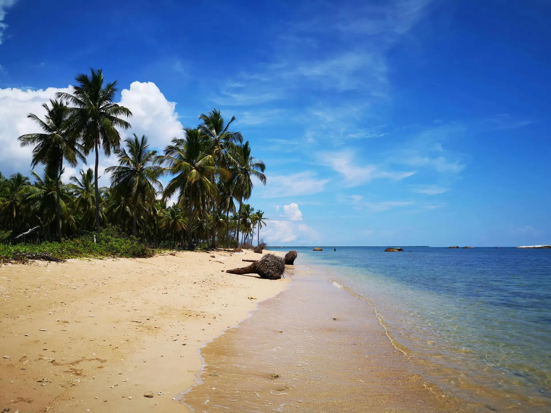 Lugn strand kantad av palmer och klarblått vatten på Sri Lanka