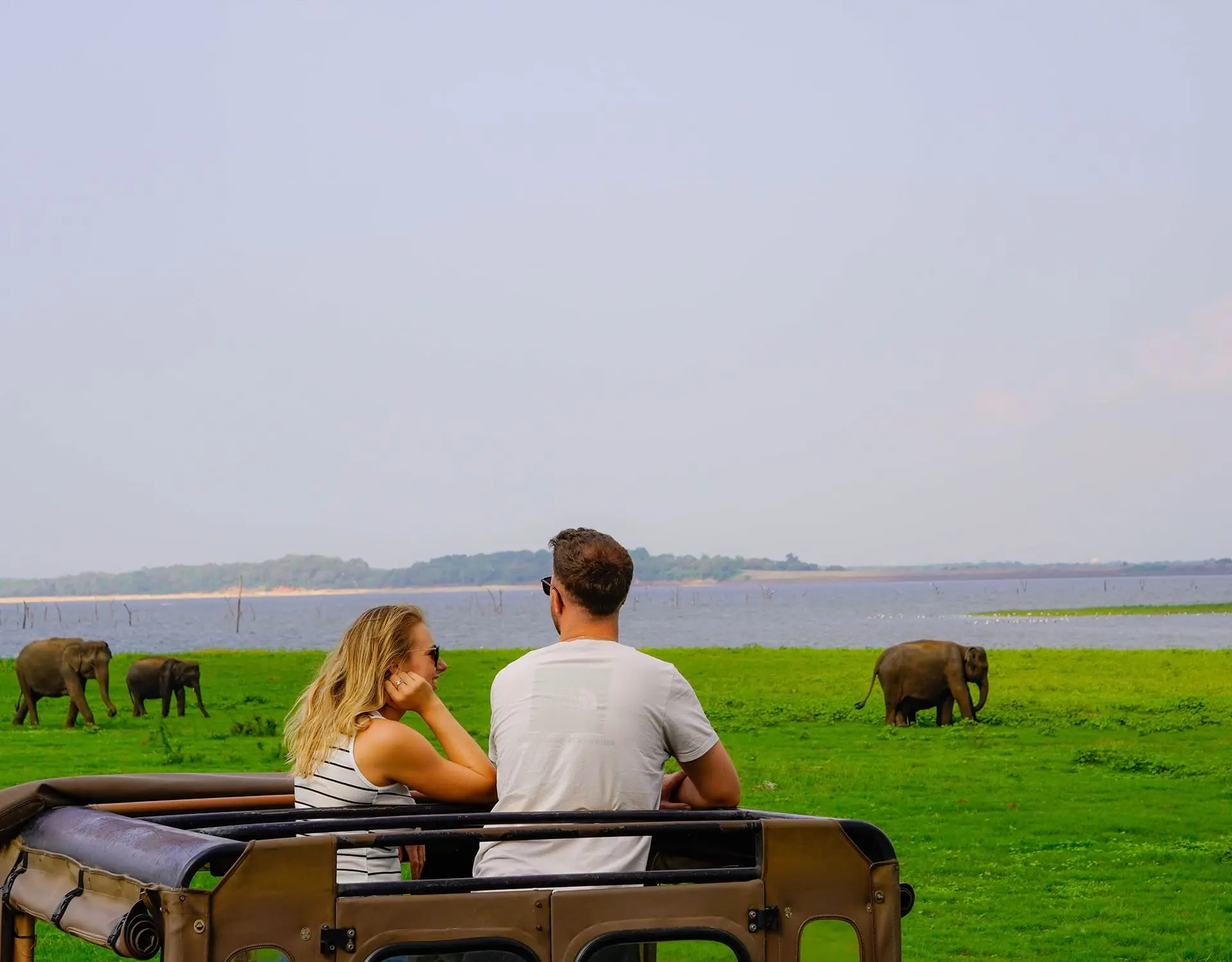 Ett par tittar på vilda elefanter från safarijeepen